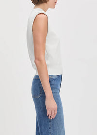 The Whitney Top