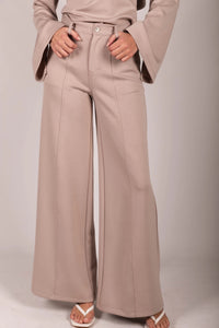 Pleated Wide Leg Trousers - Taupe