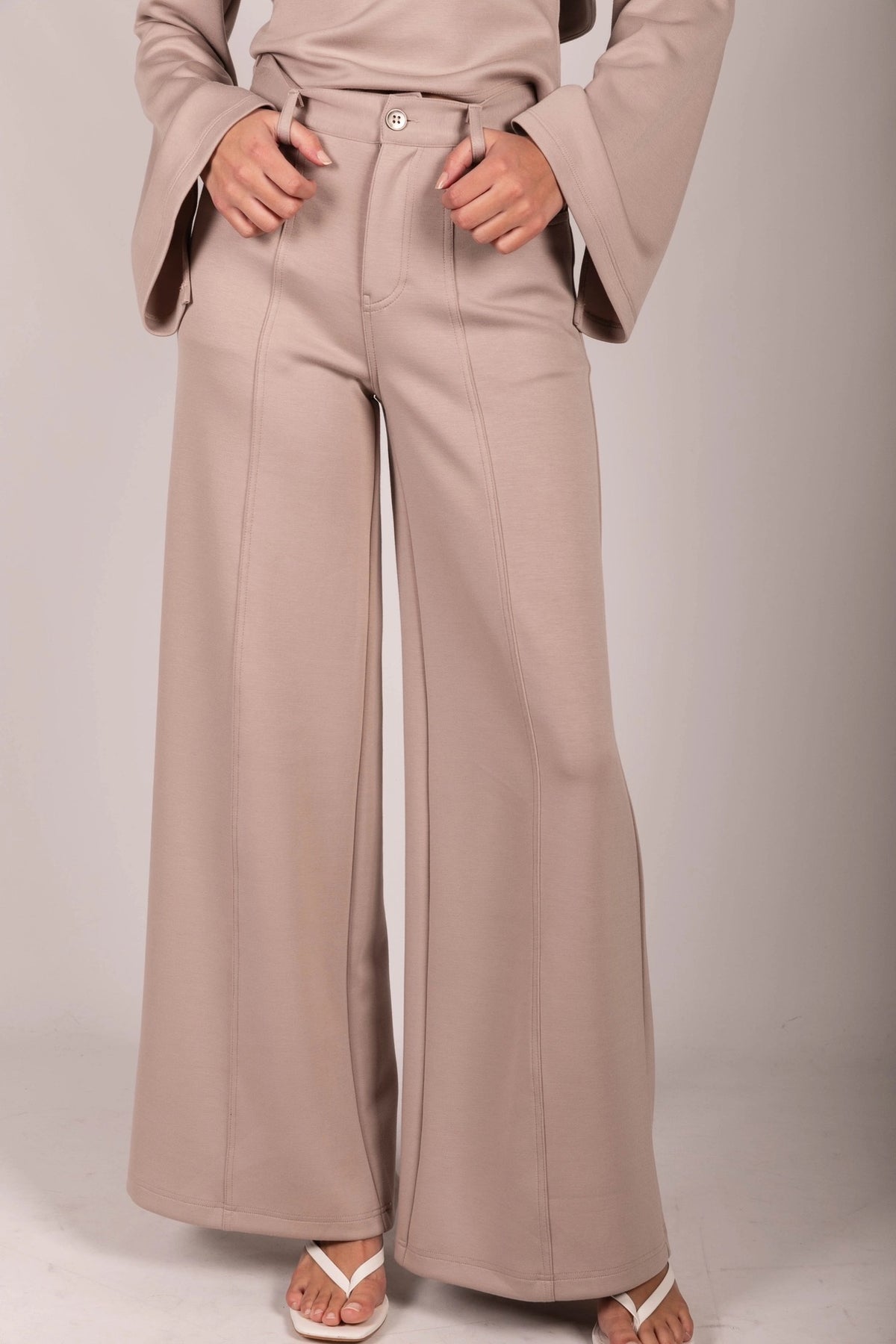 Pleated Wide Leg Trousers - Taupe