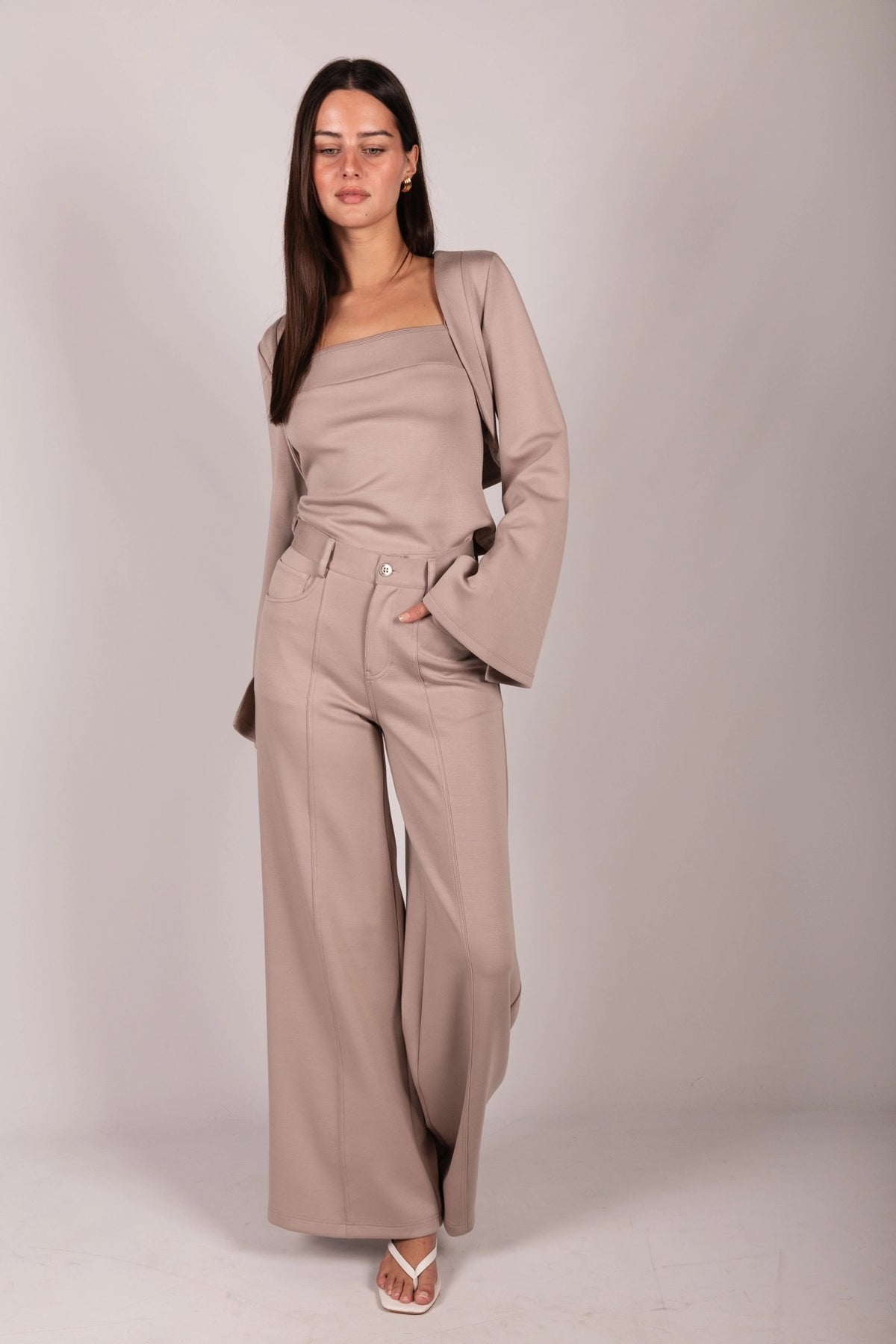 Pleated Wide Leg Trousers - Taupe