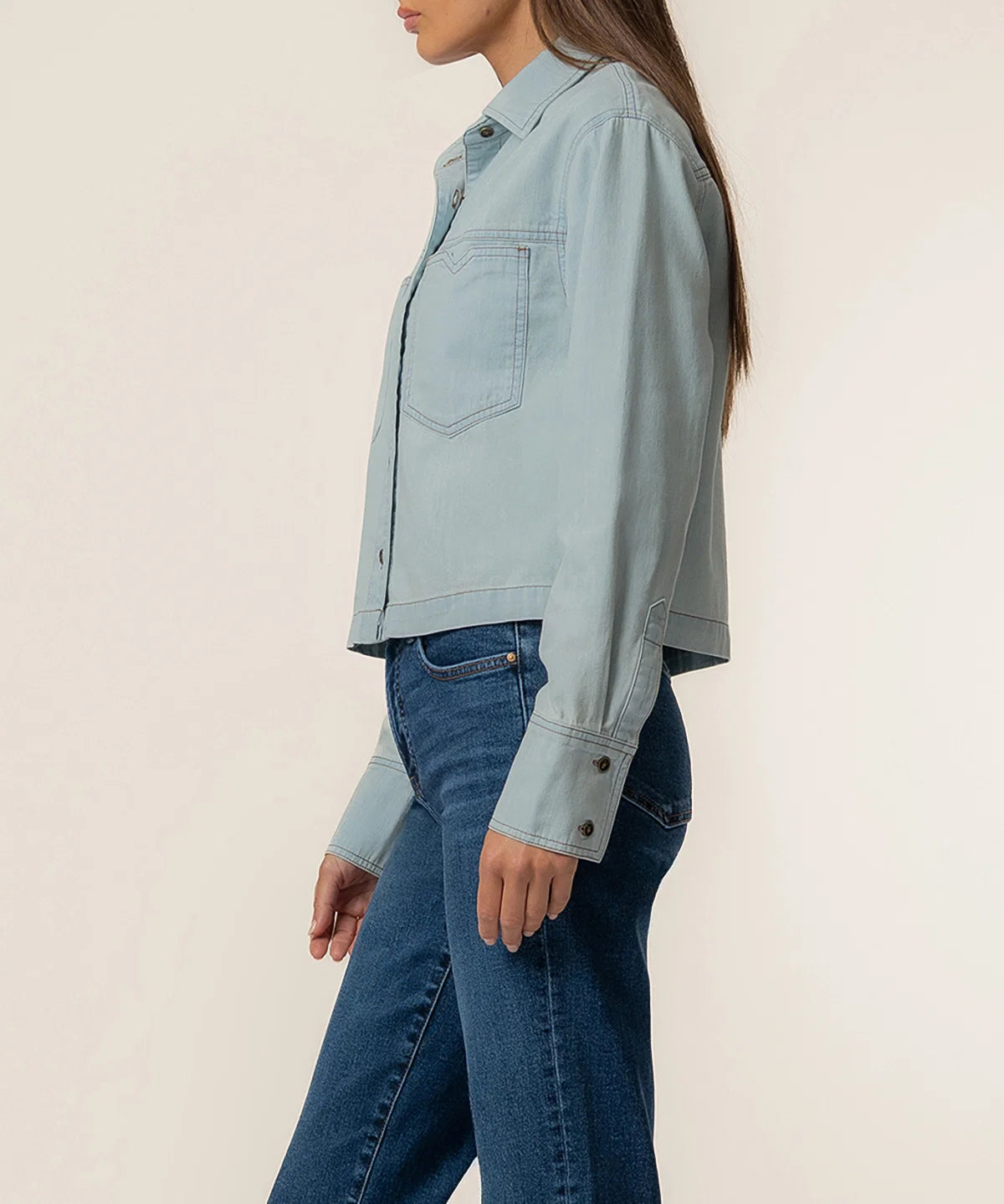 Aubrey Long Sleeve Button Down Crop Shirt