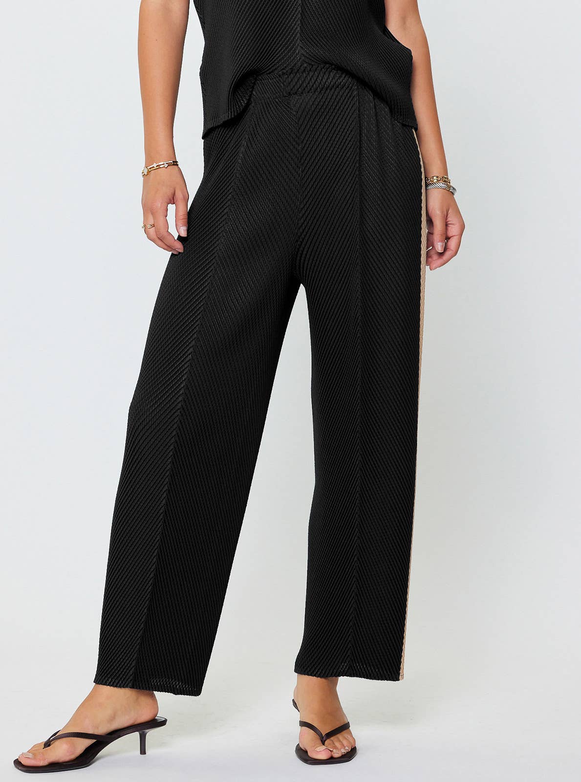 Pleated Tapered Pants W/side Panels