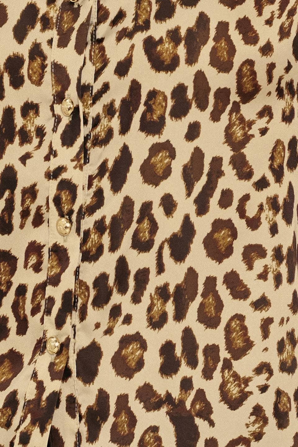 Leopard Lover Top
